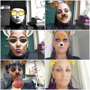 Meet your Posher, Nereida